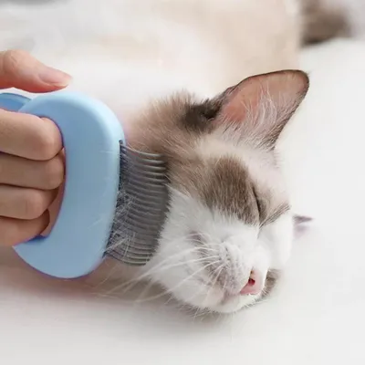 Peigne à animaux design chat