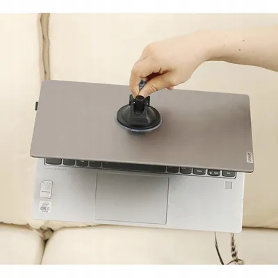 Jouet interactif oiseau avec ventouse