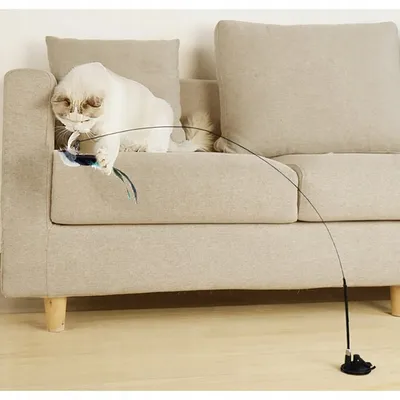 Jouet interactif oiseau avec ventouse