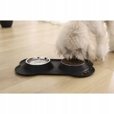Gamelle double esthétique pour chien et chat