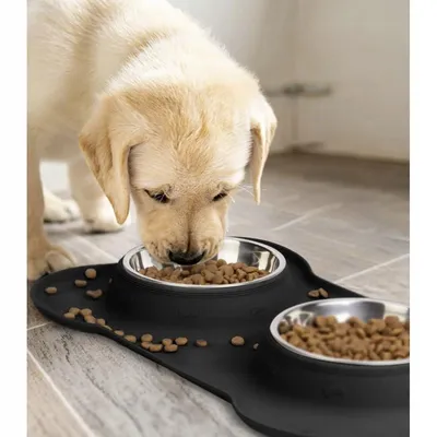 Gamelle double esthétique pour chien et chat