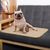 Tapis Absorbant Idéal Pour Chiens et Chiots