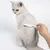Peigne Anti Vermines pour Chats et Chiens Peigne Anti Vermines pour Chats et Chiens