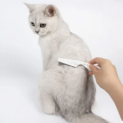 Peigne Anti Vermines pour Chats et Chiens Peigne Anti Vermines pour Chats et Chiens
