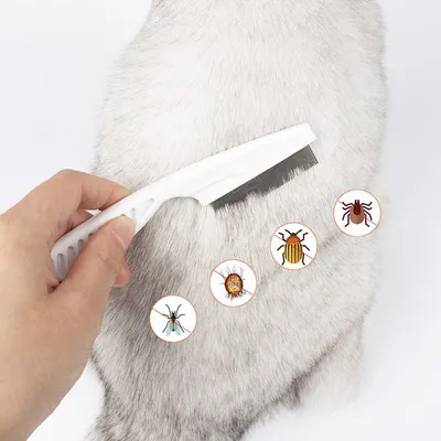 Peigne Anti Vermines pour Chats et Chiens