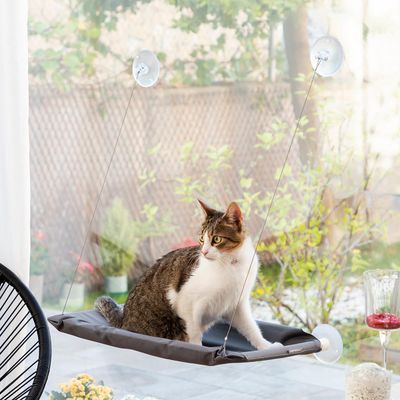 Hamac pour chats mural en plastique
