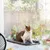 Hamac pour chats mural en plastique