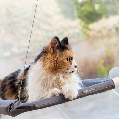 Hamac pour chats mural en plastique