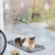 Hamac pour chats mural en plastique
