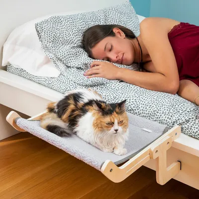 Hamac pour chat robuste et adaptable