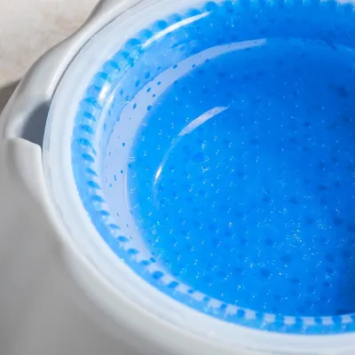 Bol d'eau rafraîchissante pour animaux