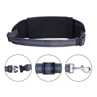 Laisse flexible avec sac banane pour chien Laisse flexible avec sac banane pour chien