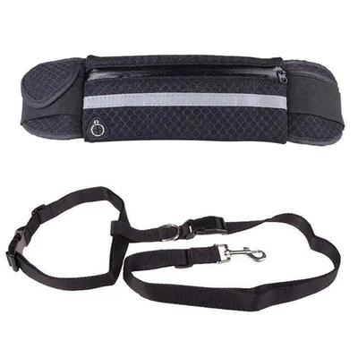 Laisse flexible avec sac banane pour chien