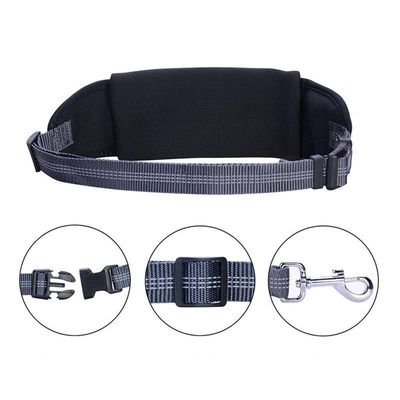 Laisse flexible avec sac banane pour chien