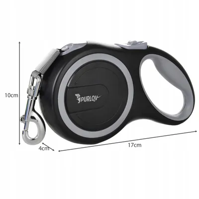 Laisse Flexible pour Chien