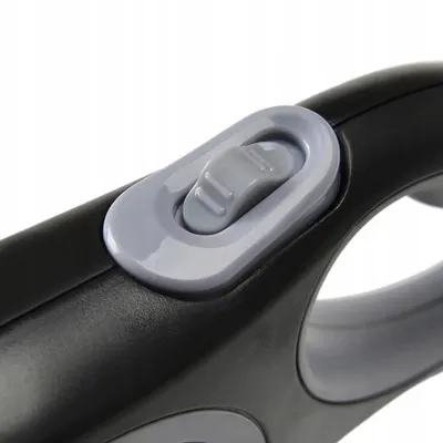 Laisse Flexible pour Chien