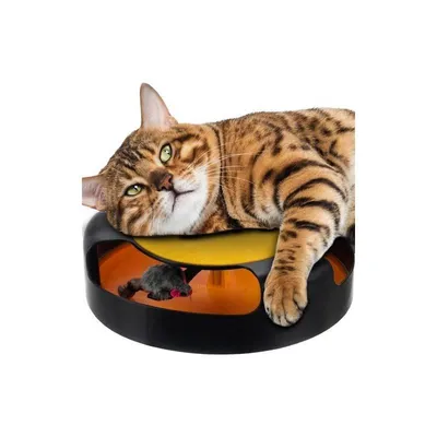 Jouet interactif pour chat avec souris Jouet interactif pour chat avec souris