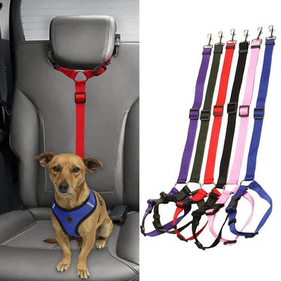Ceinture de sécurité réglable pour chien