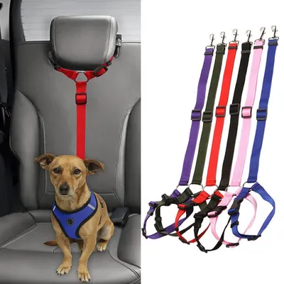 Ceinture de sécurité réglable pour chien