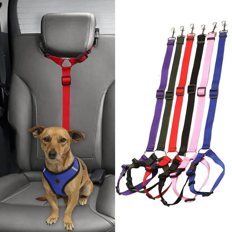 Ceinture de sécurité réglable pour chien
