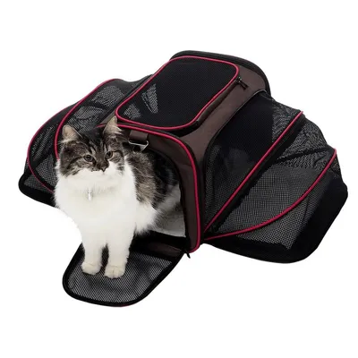 Sac de transport extensible pour animaux de compagnie