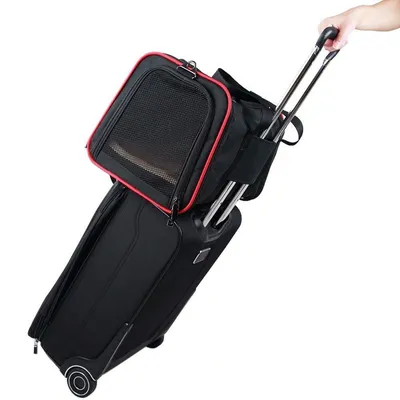 Sac de transport extensible pour animaux de compagnie