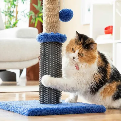 Arbre à chat multifonction avec massage et jouet