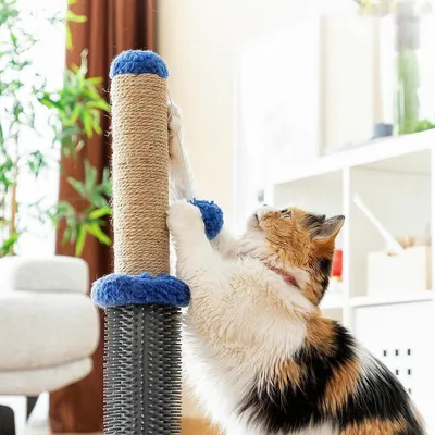 Arbre à chat multifonction avec massage et jouet
