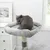 Griffoir multifonction pour chats avec grotte et niveaux