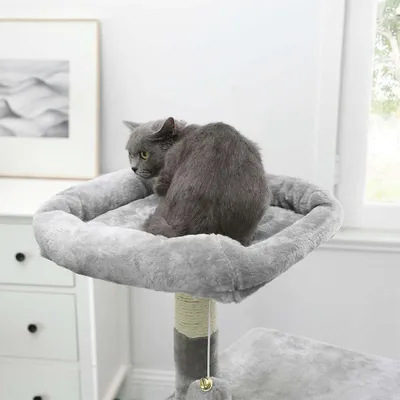 Griffoir multifonction pour chats avec grotte et niveaux