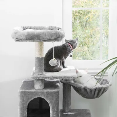 Griffoir multifonction pour chats avec grotte et niveaux