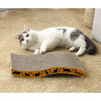 Planche à gratter trèfle pour chat