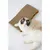 Planche à gratter trèfle pour chat