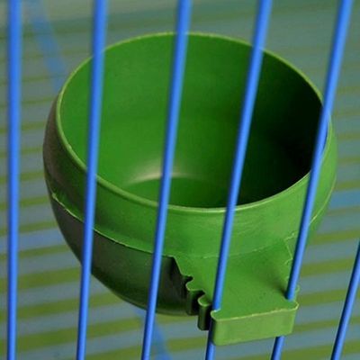 Ensemble de bols de nourriture pour oiseaux