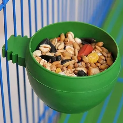 Ensemble de bols de nourriture pour oiseaux