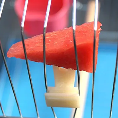 Support pour Fruits et Légumes pour Oiseaux