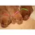 Colliers colorés pour chatons et chiots