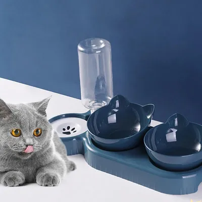 Distributeur automatique et gamelles pour chat