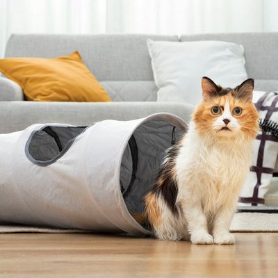 Tunnel amusant pliable pour chat