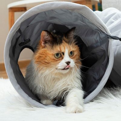 Tunnel amusant pliable pour chat