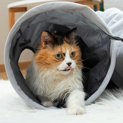 Tunnel amusant pliable pour chat