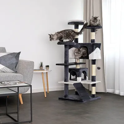 lionto arbre à chat avec sisal, 2 balles & 3 plateformes confort