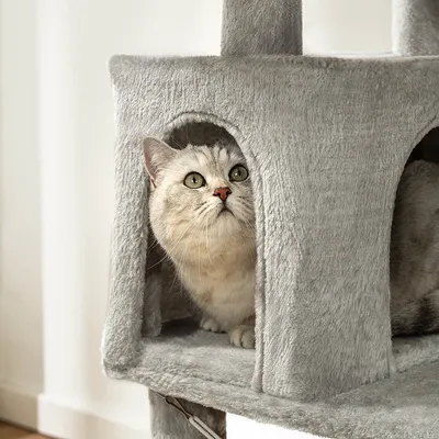 lionto arbre à chat avec hamacs, balles en peluche et plateformes