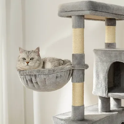lionto arbre à chat avec hamacs, balles en peluche et plateformes