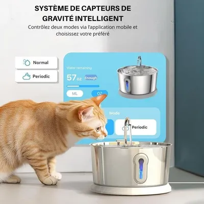 Fontaine à eau pour chats connectée en inox 4L - Cosyfur