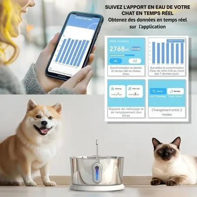Fontaine à eau pour chats connectée en inox 4L - Cosyfur