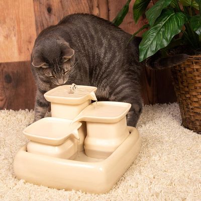 Miaustore - Fontaine à eau en céramique 3,4L pour chats
