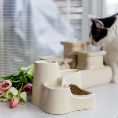 Fontaine à eau moderne pour chat en céramique – Miaustore
