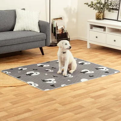 lionto tapis pour chien lavable et imperméable anti-fuite, lot de 2