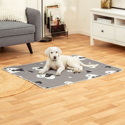 lionto waschbare, wasserdichte Hundematte, auslaufsicher, 2er-Set